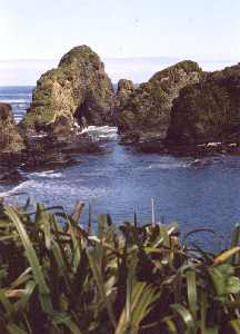 Islotes de Puñihuil
